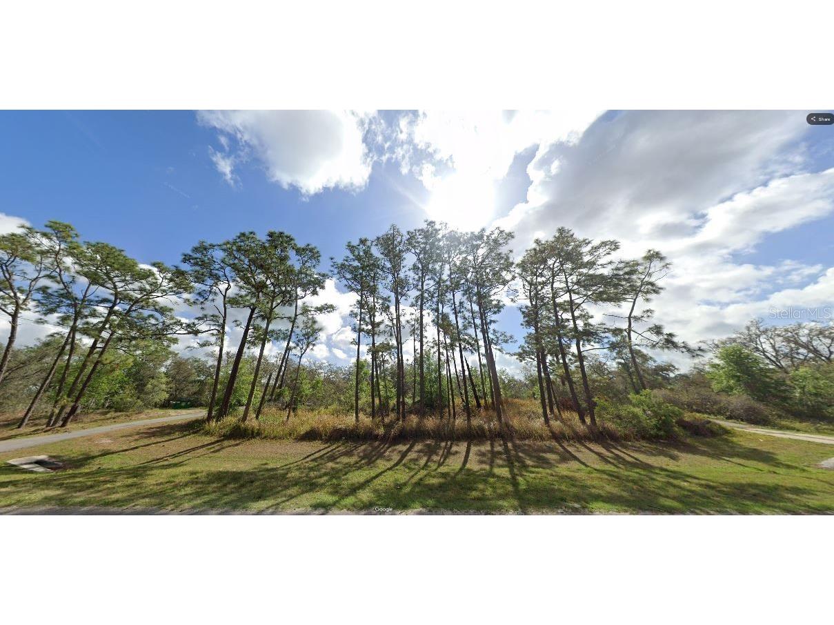 Commonwealth Avenue N Polk City FL 33868 O6269066 image2