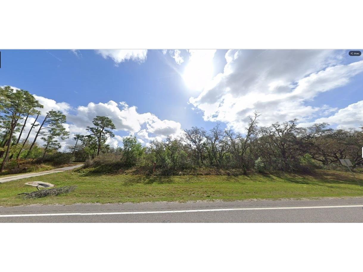 Commonwealth Avenue N Polk City FL 33868 O6269501 image2