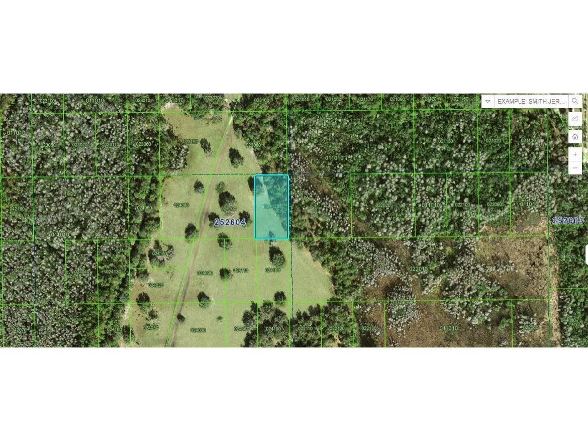 Commonwealth Avenue N Polk City FL 33868 O6270670 image1