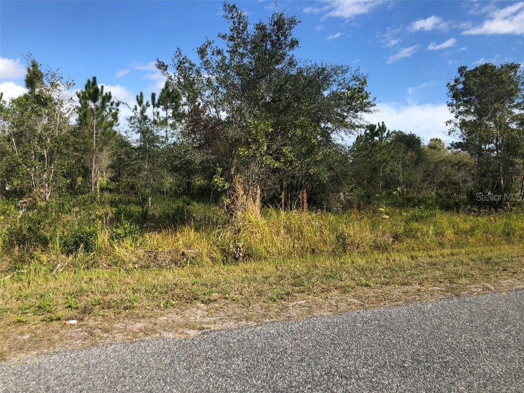 Concord Road Saint Cloud FL 34773 S5061417 image1