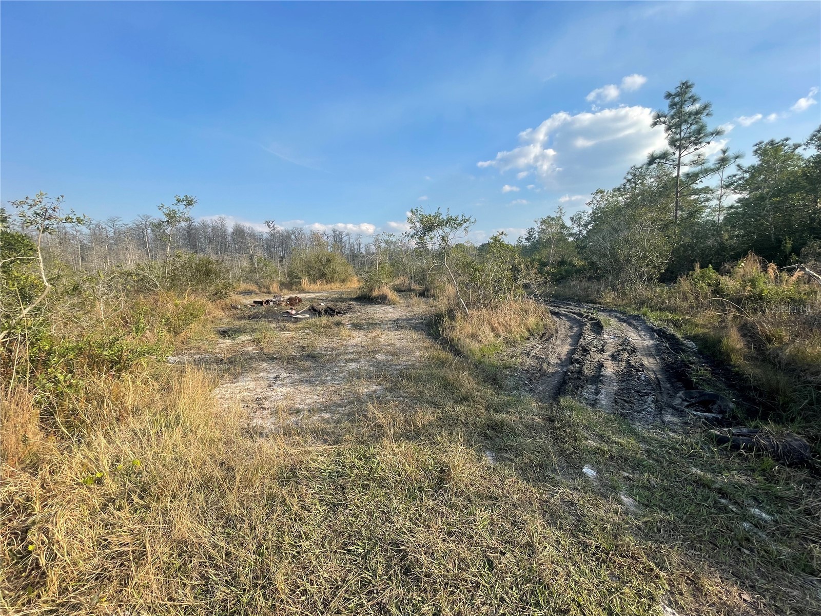 Concord Road Saint Cloud FL 34773 G5115156 image4