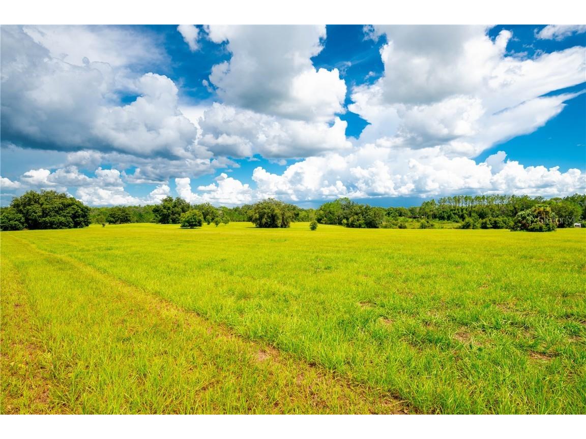 Conniff Road Groveland FL 34736 G5040657 image1