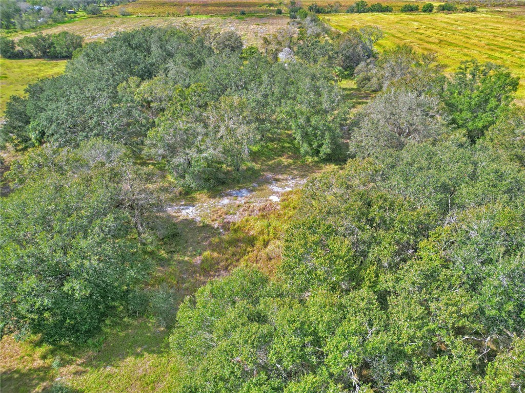 Conroy Lane Wauchula FL 33873 P4928480 image10