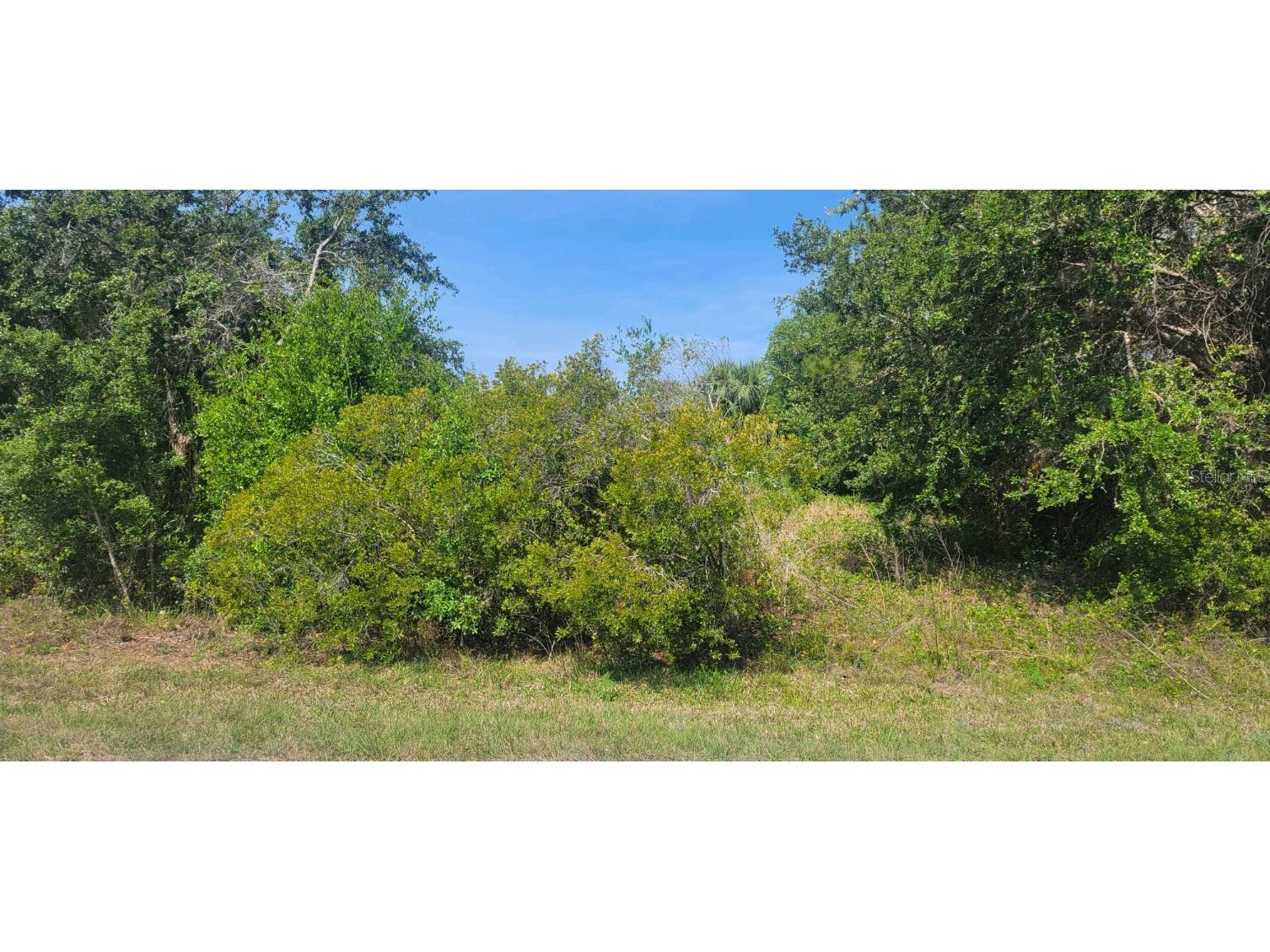 Constitution Drive North Port FL 34291 C7474742 image1