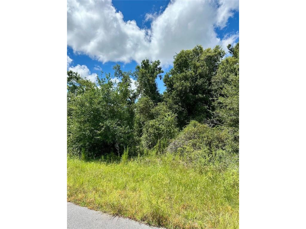 Constitution Drive North Port FL 34291 A4661795 image1