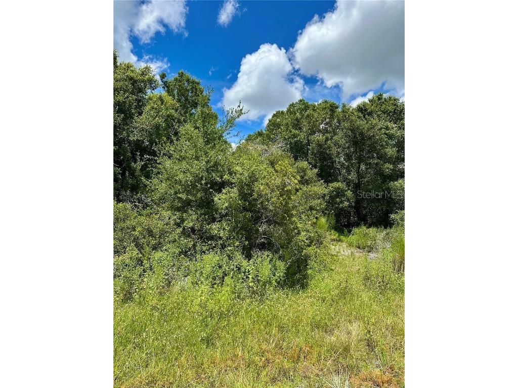 Constitution Drive North Port FL 34291 A4661795 image2