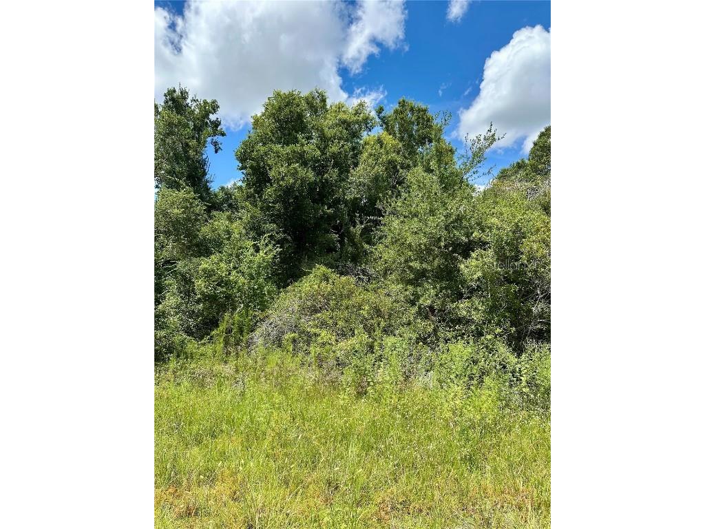 Constitution Drive North Port FL 34291 A4661795 image3