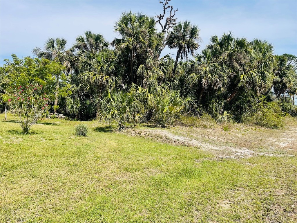 Conus Avenue North Port FL 34288 TB8356478 image1