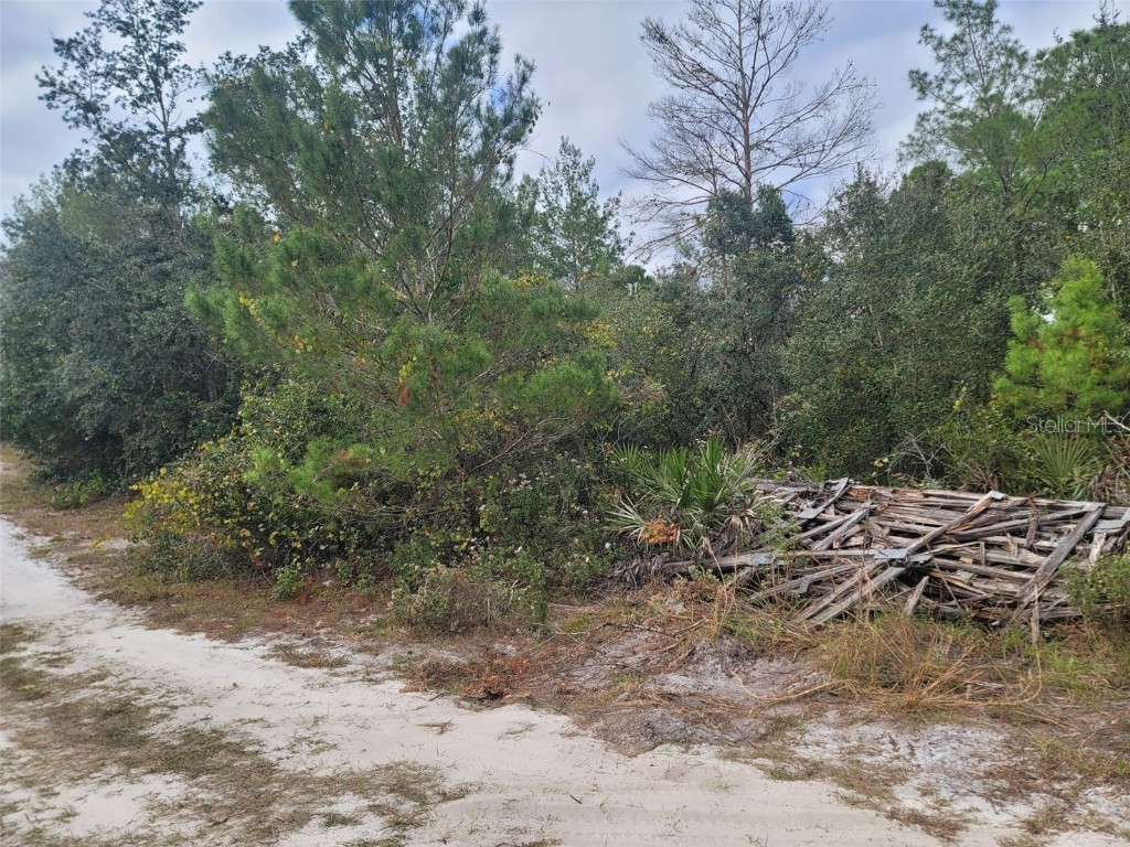 Cooter Pond Road Deland FL 32720 O6155271 image3