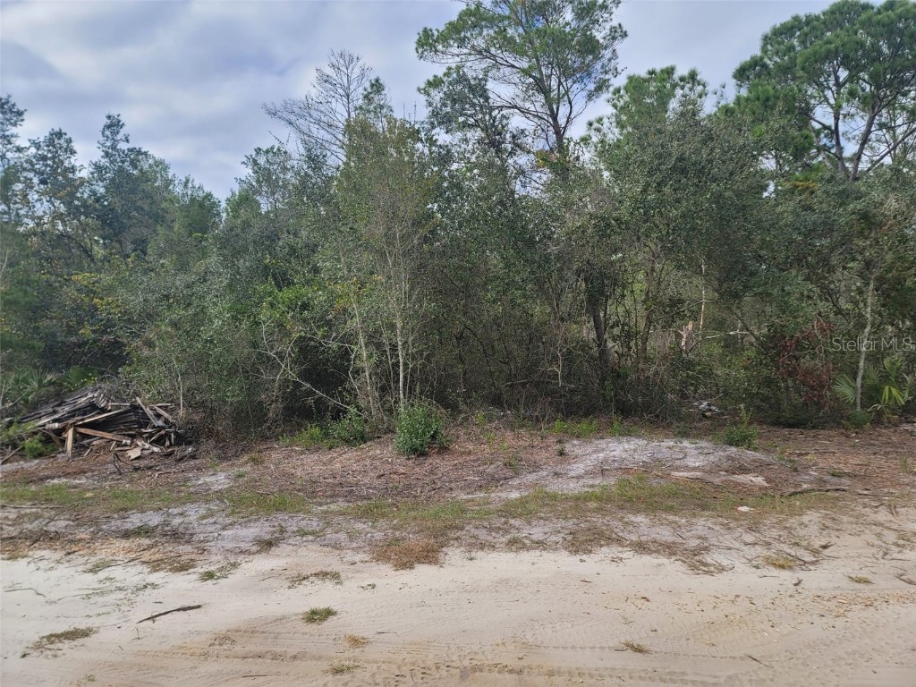 Cooter Pond Road Deland FL 32720 O6155271 image4