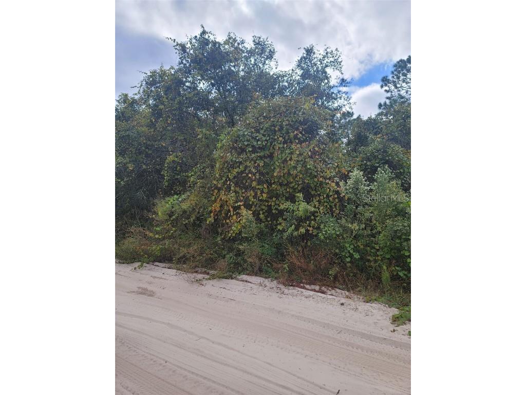 Cooter Pond Road Deland FL 32720 O6155271 image6