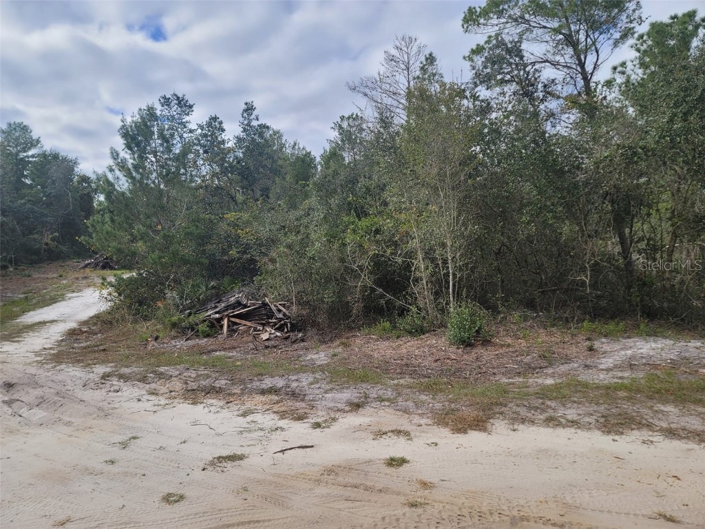 Cooter Pond Road Deland FL 32720 O6155271 image7