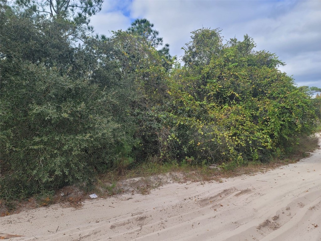 Cooter Pond Road Deland FL 32720 O6155271 image8