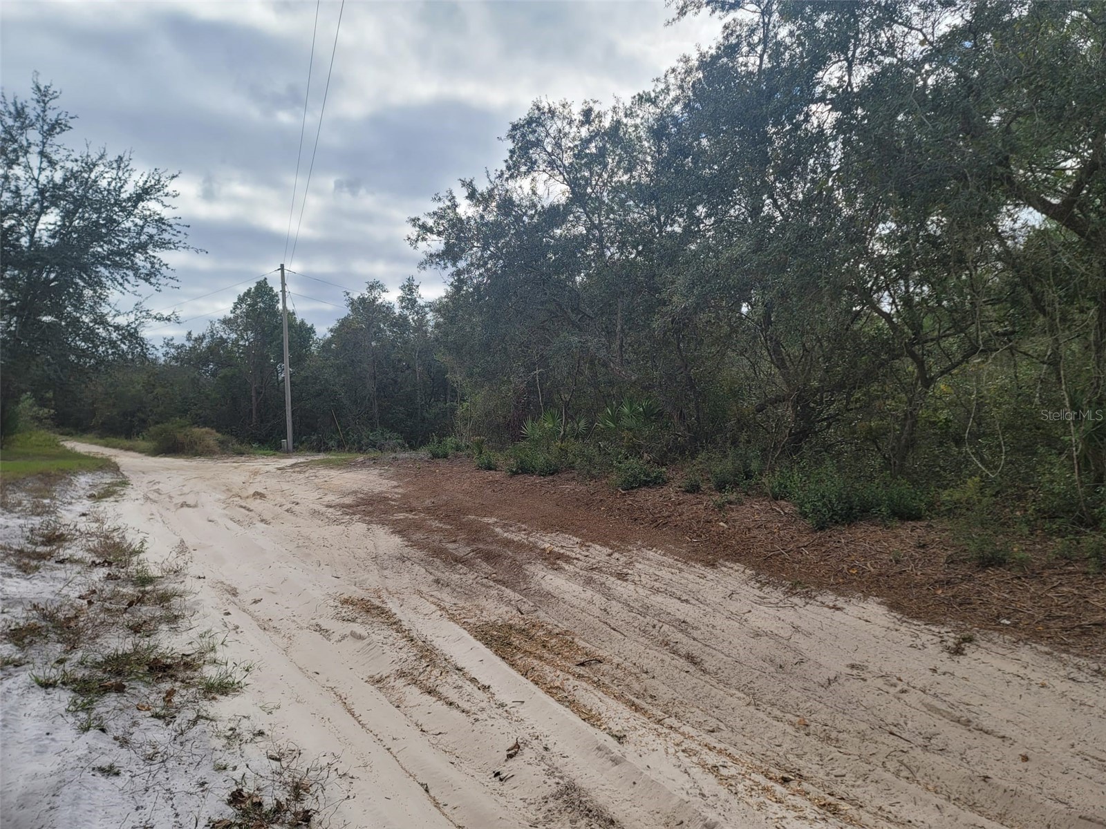 Cooter Pond Road Deland FL 32720 O6155271 image1