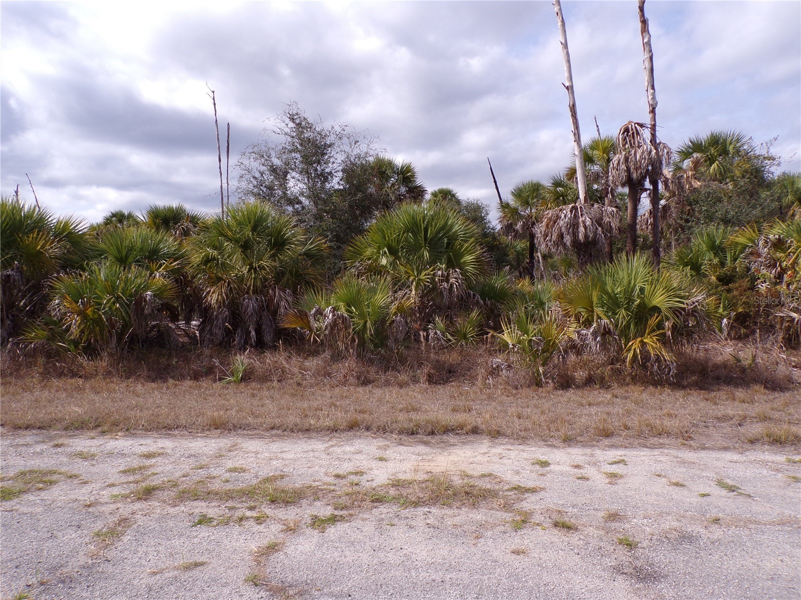 Copernicus Road North Port FL 34288 C7520155 image1