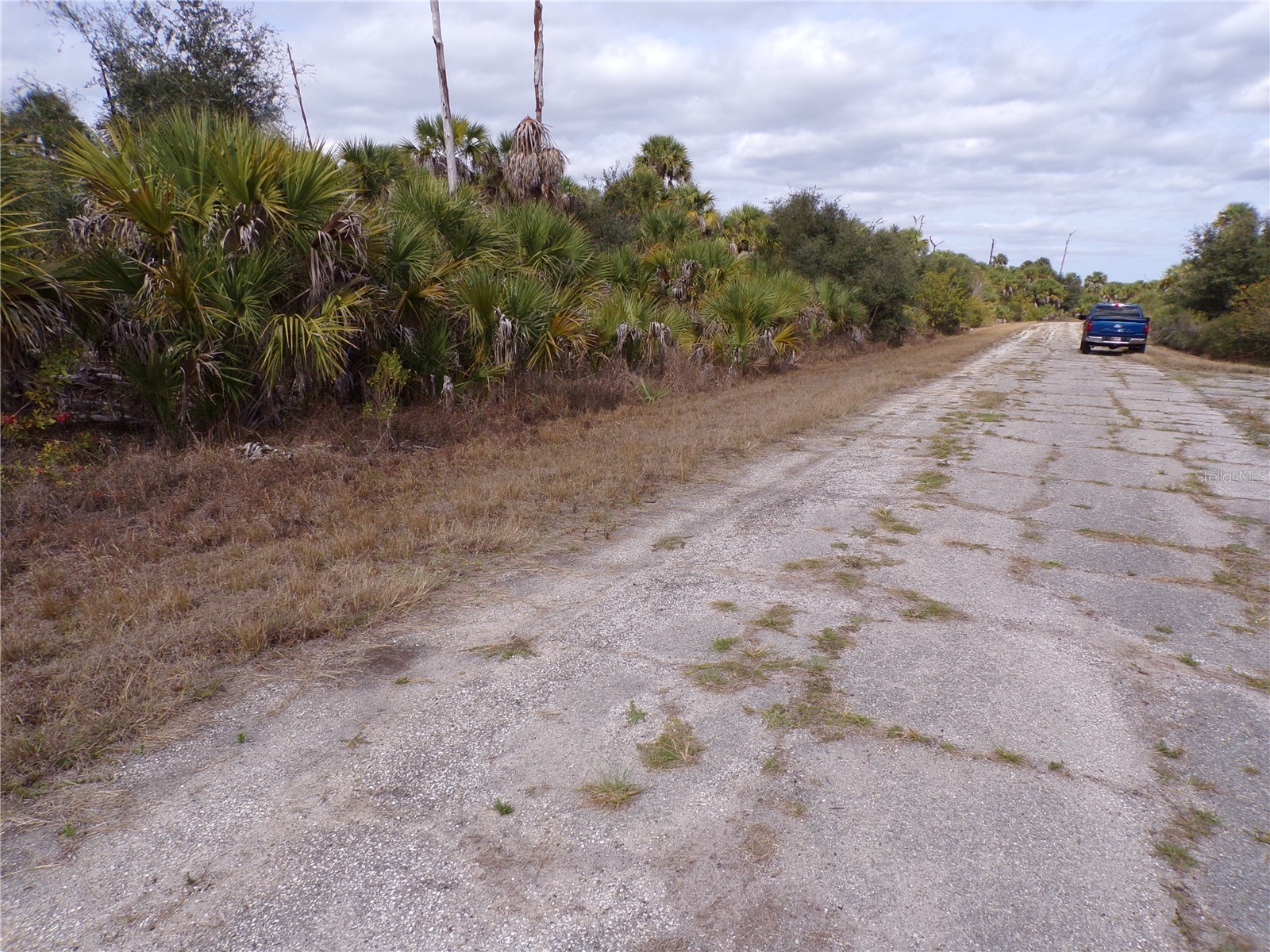 Copernicus Road North Port FL 34288 C7520155 image3