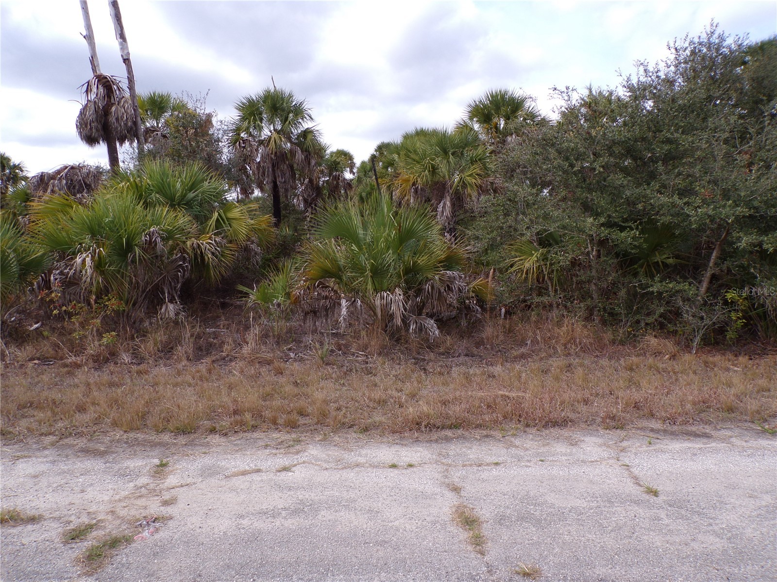 Copernicus Road North Port FL 34288 C7520155 image5