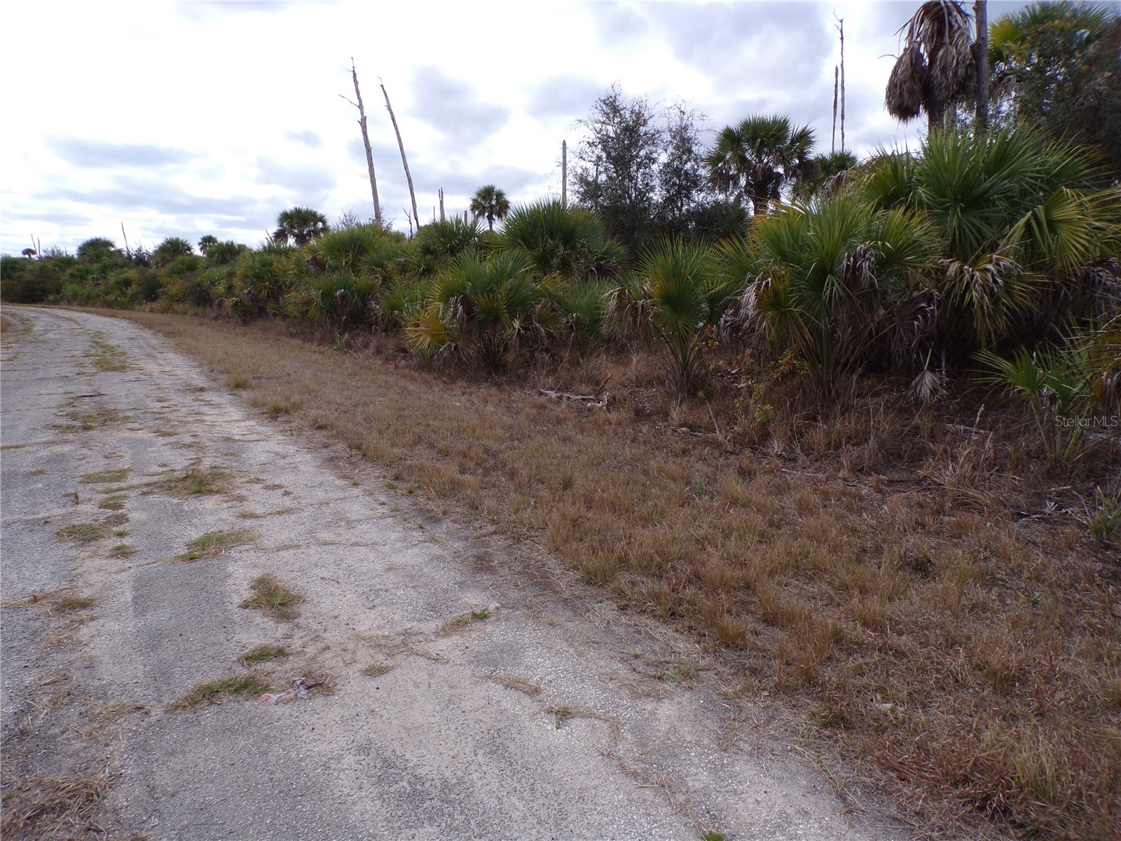 Copernicus Road North Port FL 34288 C7520155 image7