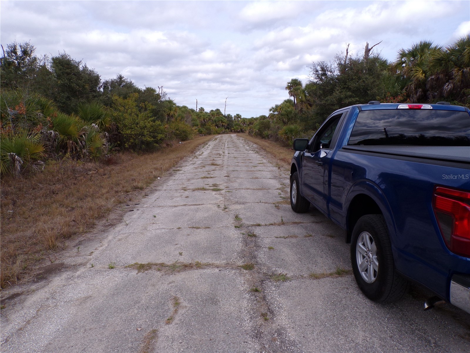 Copernicus Road North Port FL 34288 C7520155 image9