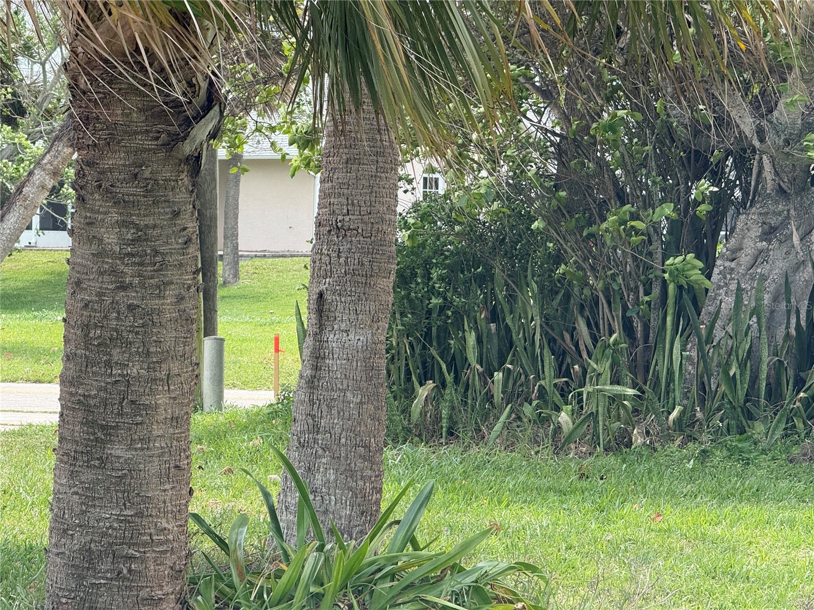 Coral Circle Hutchinson Island FL 34949 S5146247 image10