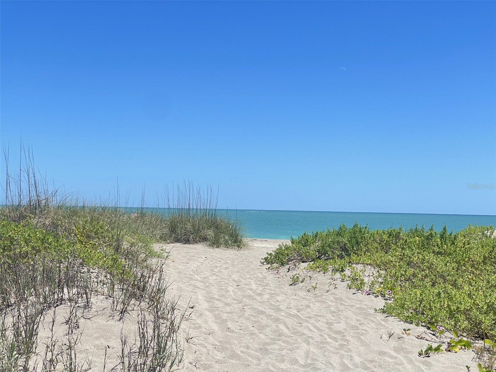 Coral Circle Hutchinson Island FL 34949 S5146247 image12