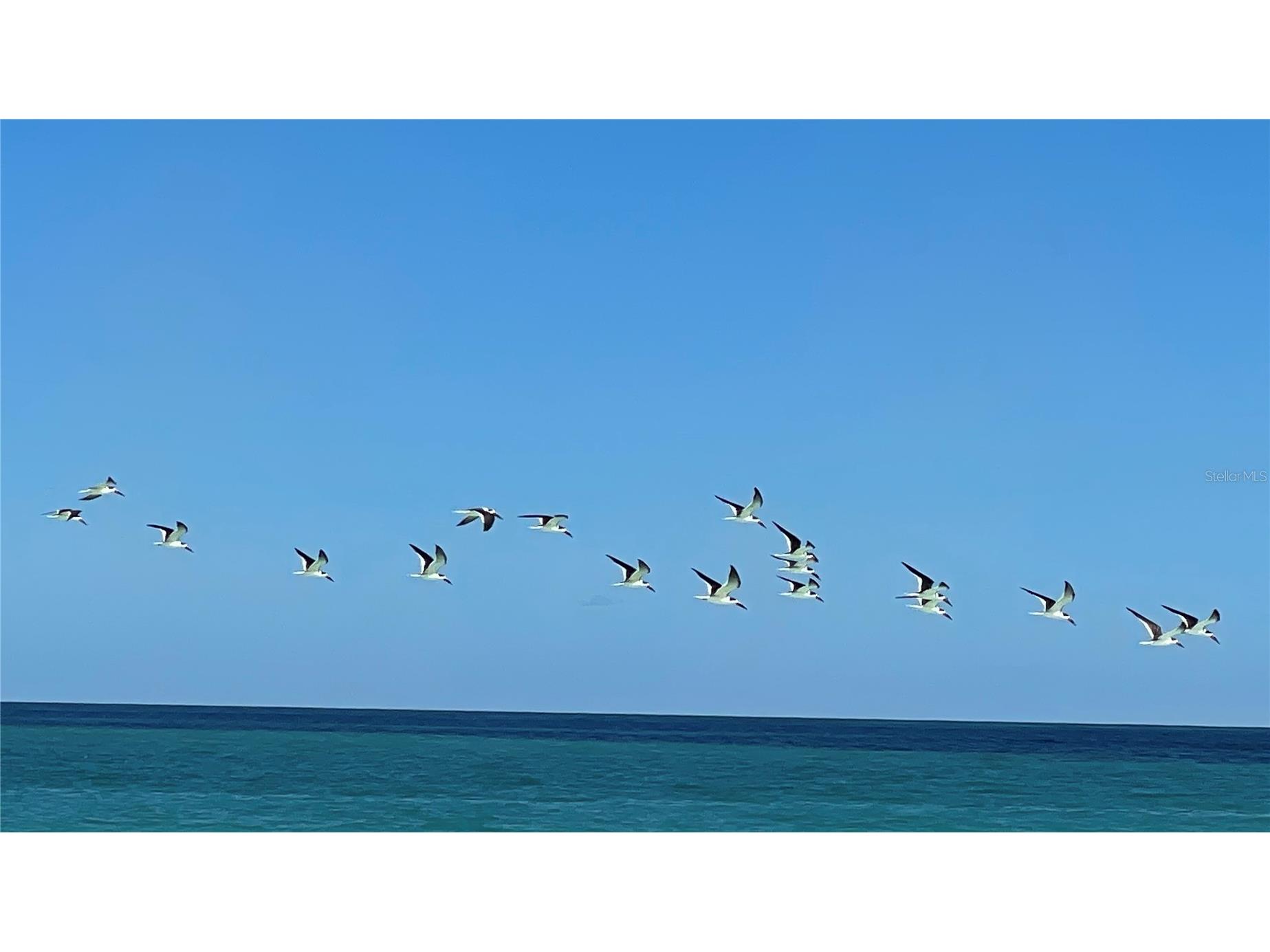 Coral Circle Hutchinson Island FL 34949 S5146247 image16