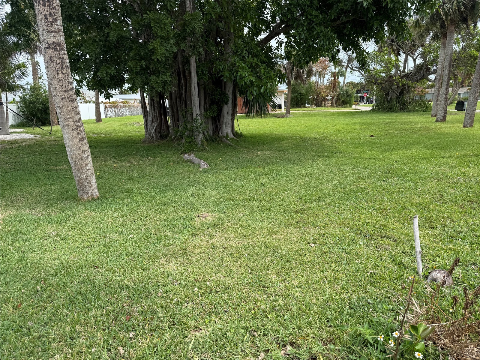 Coral Circle Hutchinson Island FL 34949 S5146247 image5