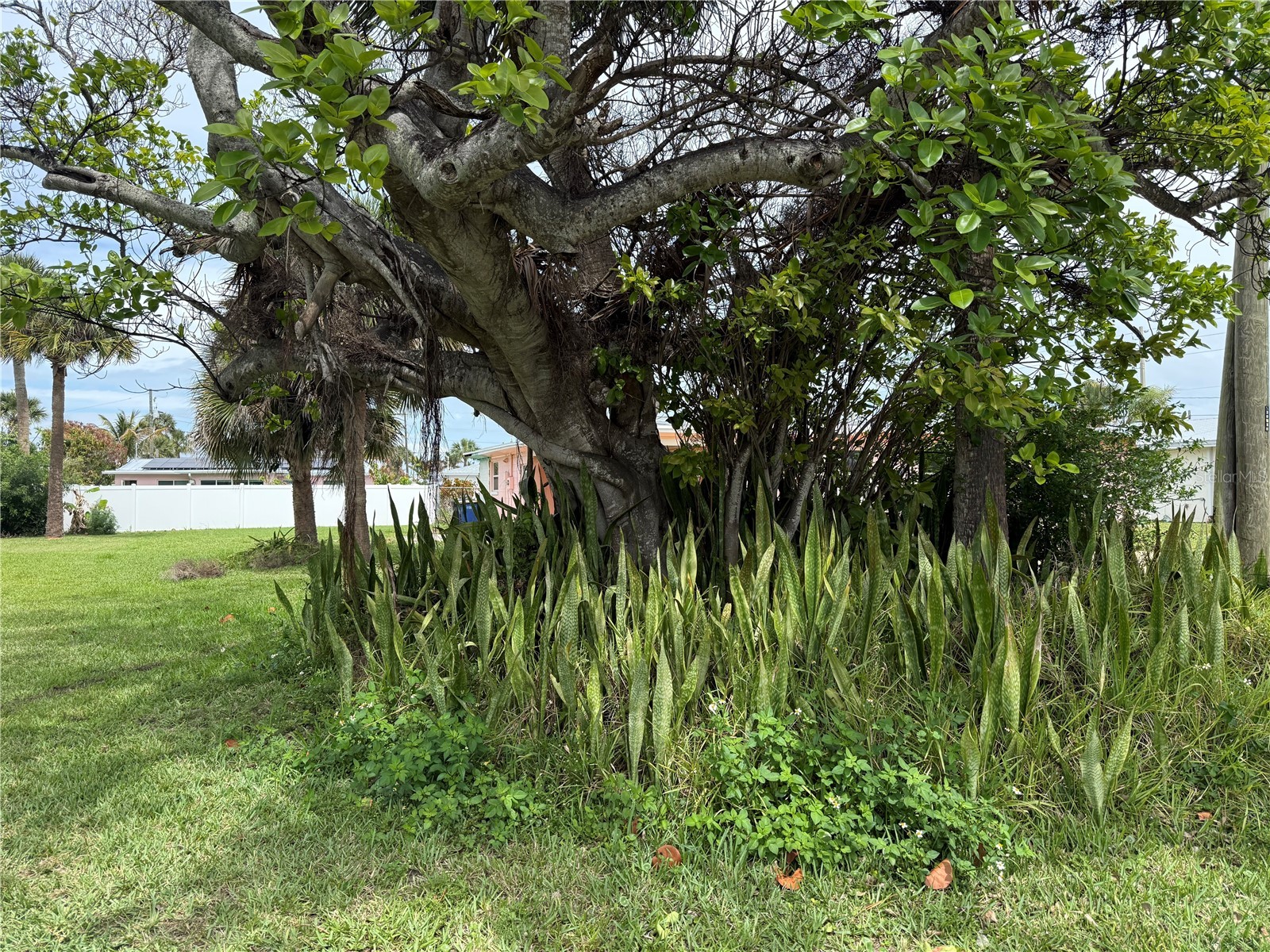 Coral Circle Hutchinson Island FL 34949 S5146247 image9