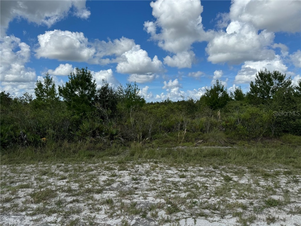 Coral Gables Drive Indian Lake Estates FL 33855 G5088322 image1