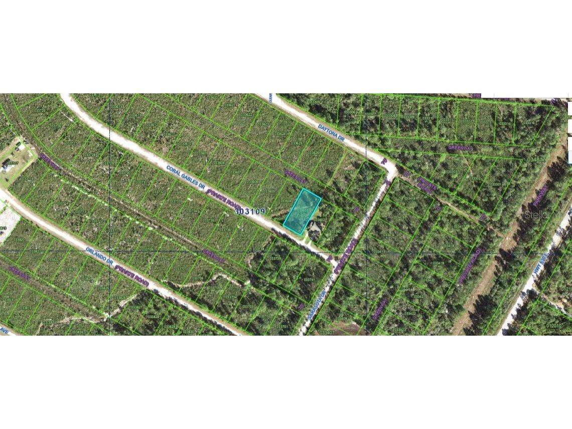 Coral Gables Drive Indian Lake Estates FL 33855 O6346588 image1