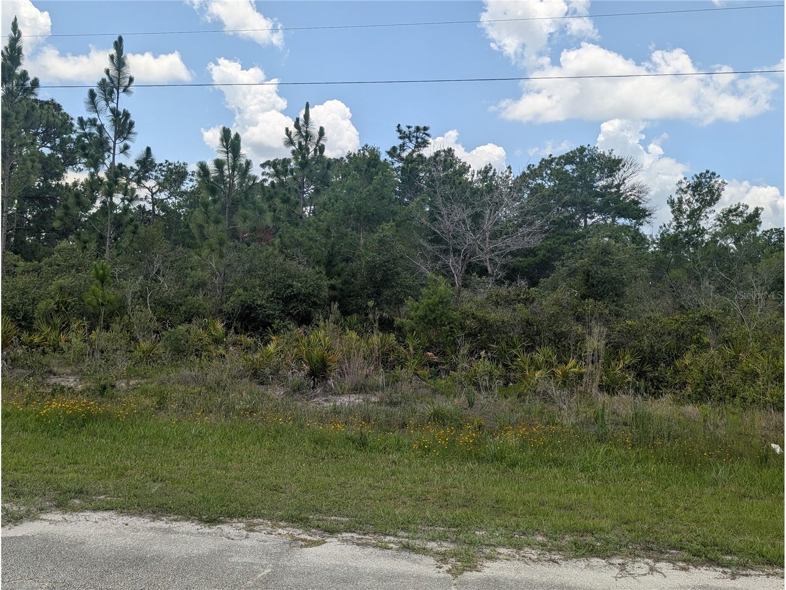 Coral Gables Drive Indian Lake Estates FL 33855 - LAKE WALK-IN-WATER P4939008 image2