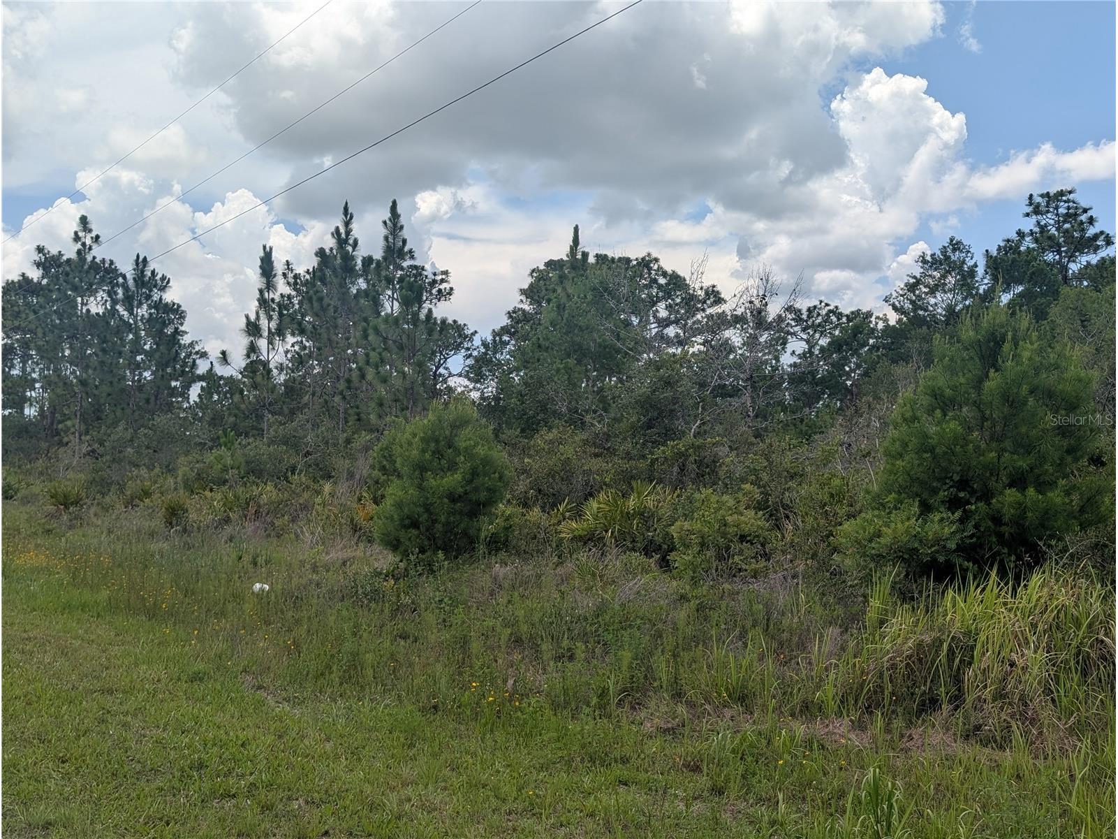 Coral Gables Drive Indian Lake Estates FL 33855 - LAKE WALK-IN-WATER P4939008 image6