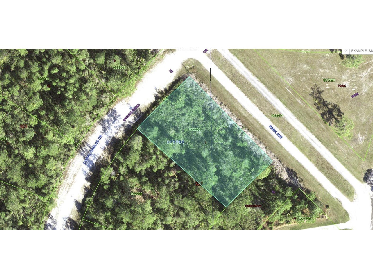 Coral Gables Drive Indian Lake Estates FL 33855 - LAKE WALK-IN-WATER P4939008 image7