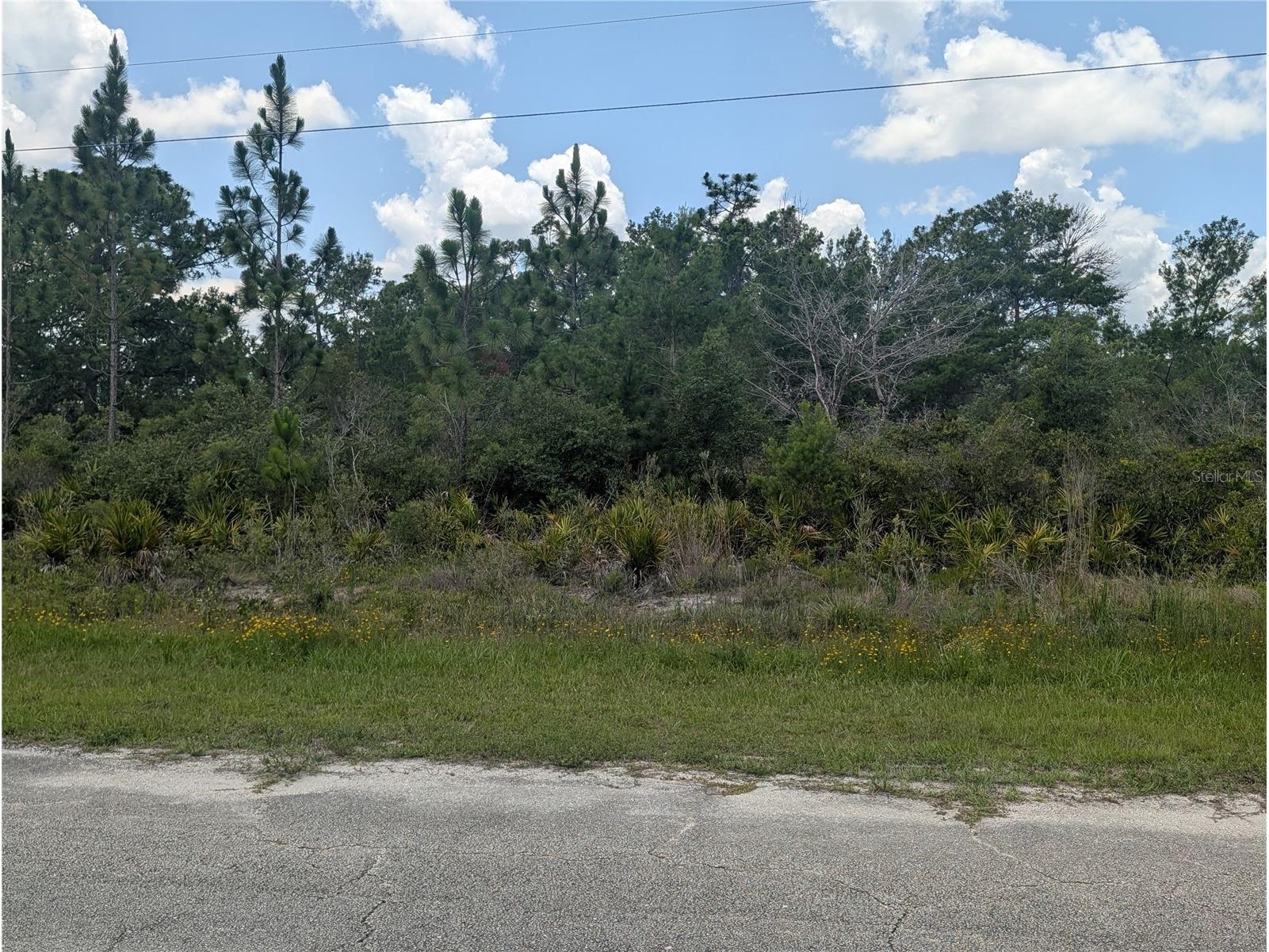 Coral Gables Drive Indian Lake Estates FL 33855 - LAKE WALK-IN-WATER P4939008 image8