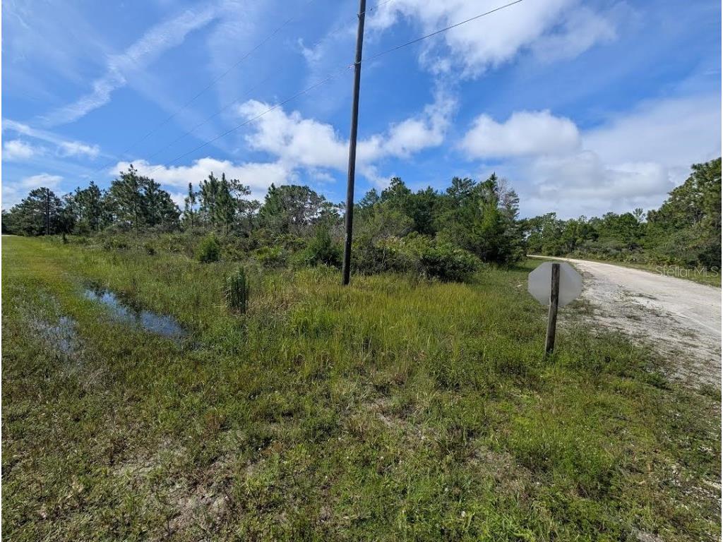 Coral Gables Drive Indian Lake Estates FL 33855 - LAKE WALK-IN-WATER TB8421899 image6