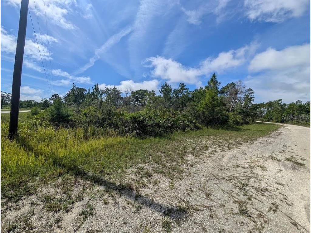 Coral Gables Drive Indian Lake Estates FL 33855 - LAKE WALK-IN-WATER TB8421899 image7