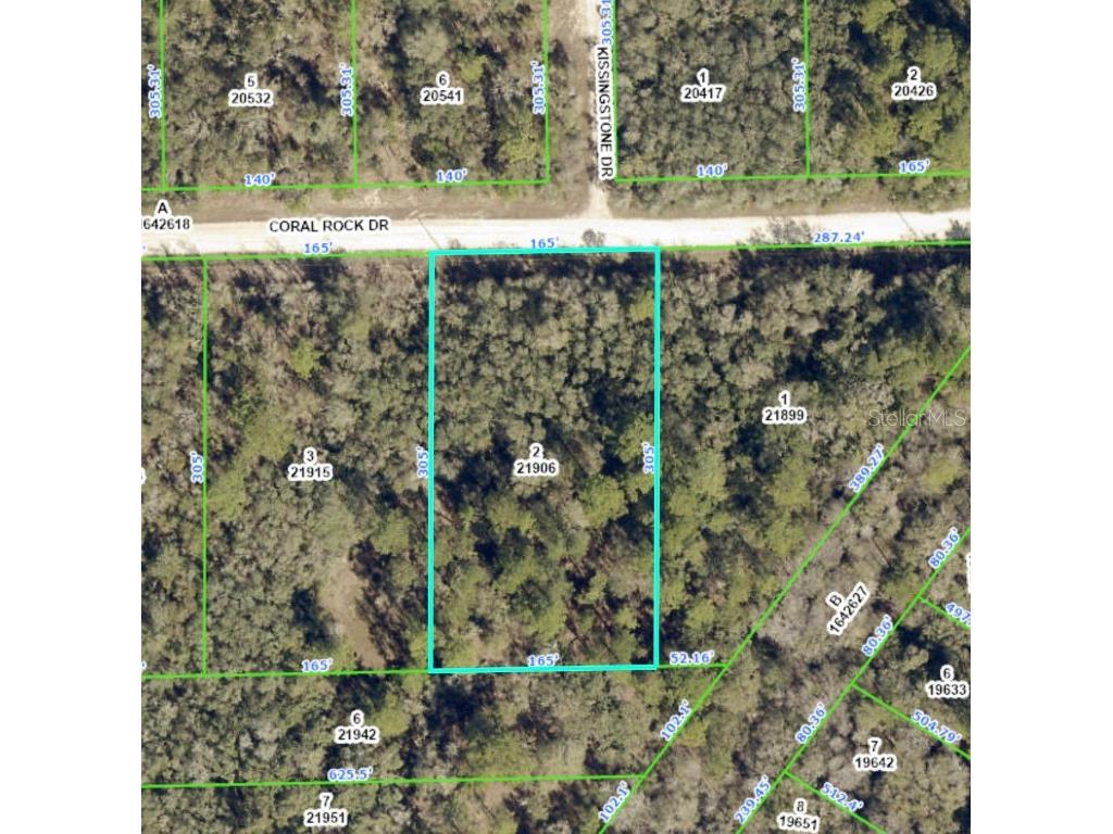 Coral Rock Drive Webster FL 33597 C7482539 image1