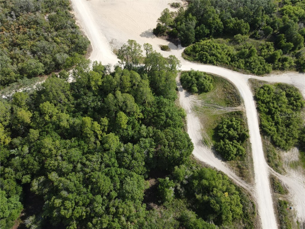 Coral Rock Drive Webster FL 33597 TB8342007 image1