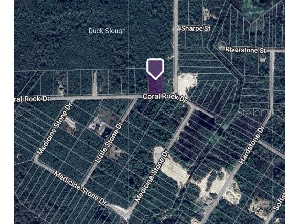 Coral Rock Drive Webster FL 33597 TB8348245 image1