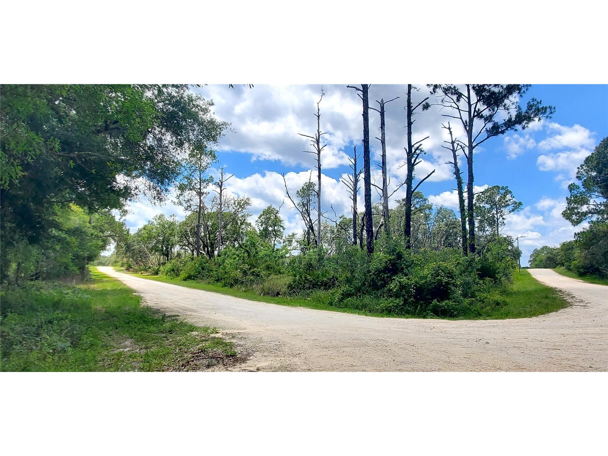 Coral Rock Drive Webster FL 33597 TB8474763 image3
