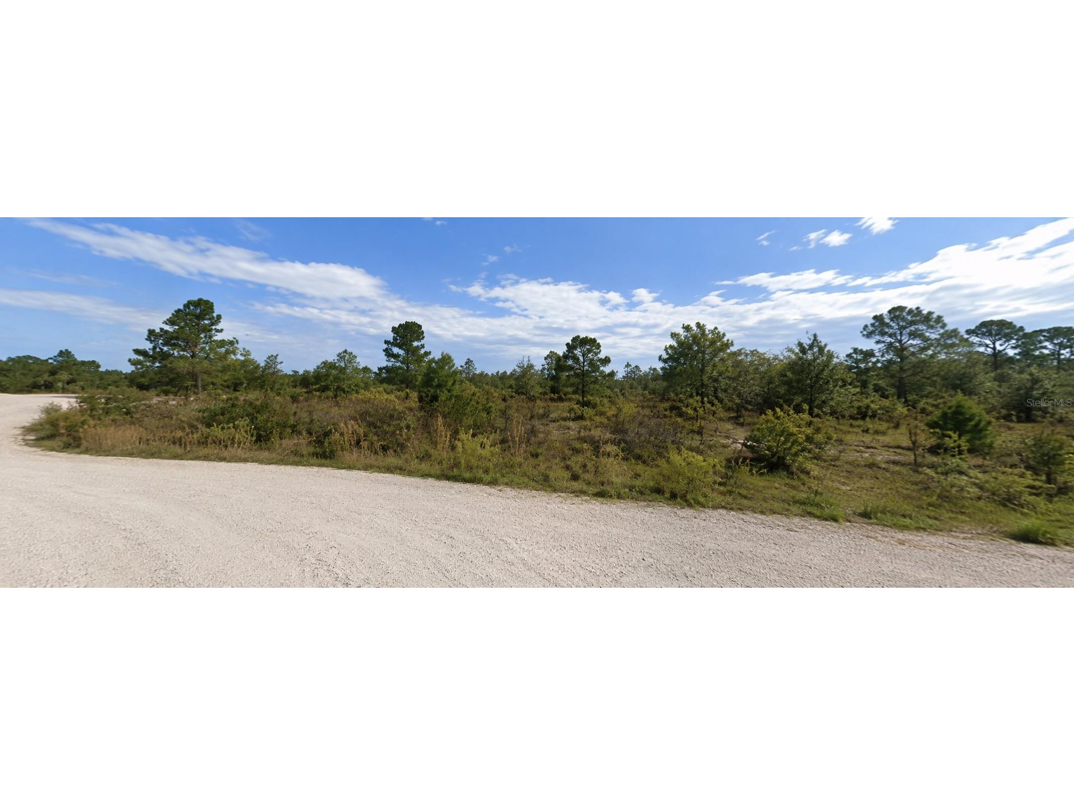 Coral Rock Drive Webster FL 33597 TB8527767 image1