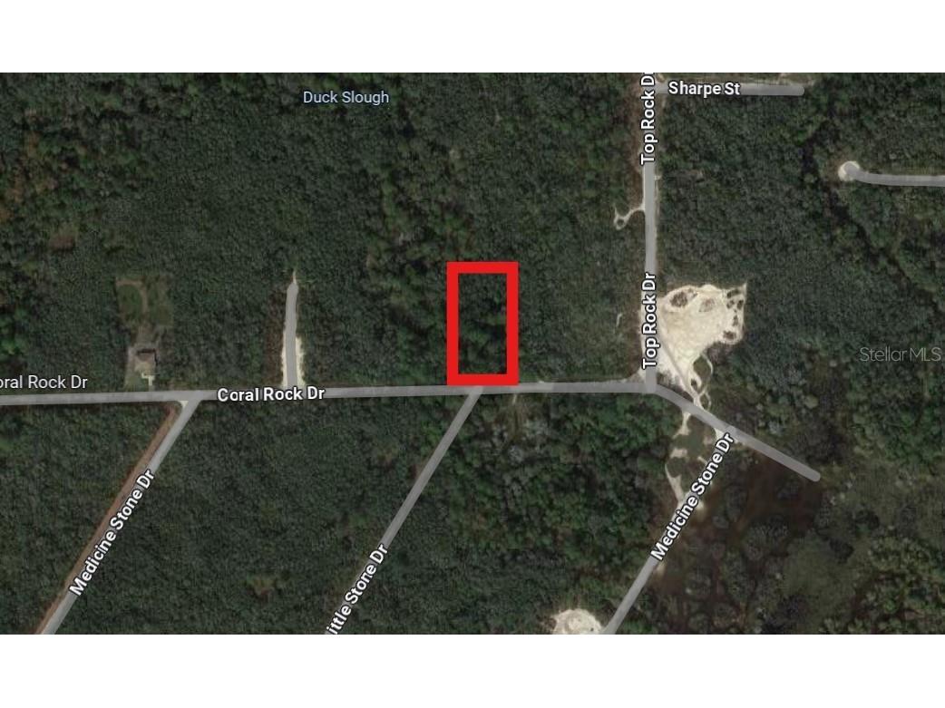 Coral Rock Street Webster FL 33597 U8245262 image1