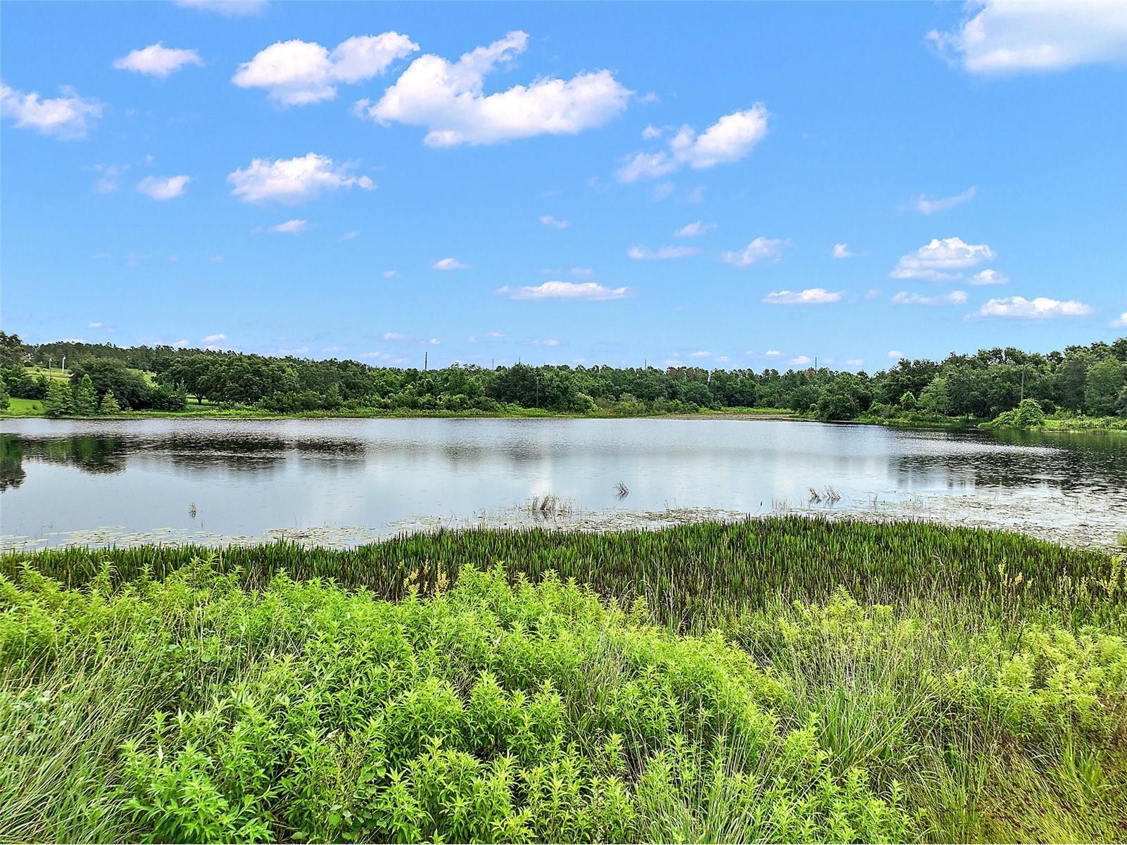 Coralwood Ln Groveland FL 34736 G5100568 image6