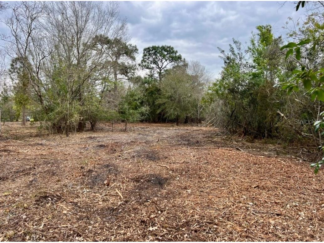 Cord Ave Saint Cloud FL 34772 S5105336 image1