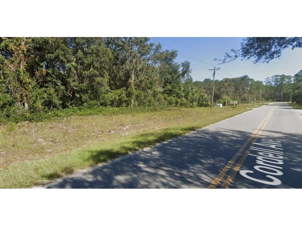 Cordell Avenue Interlachen FL 32148 - LAKE VIRGINIA GC541960 image3