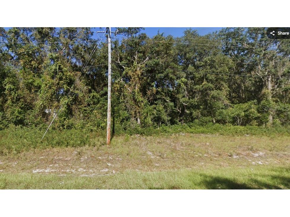Cordell Avenue Interlachen FL 32148 - LAKE VIRGINIA GC541960 image4