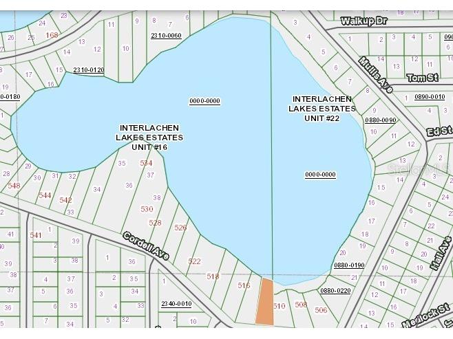 Cordell Avenue Interlachen FL 32148 - LAKE VIRGINIA GC541960 image5
