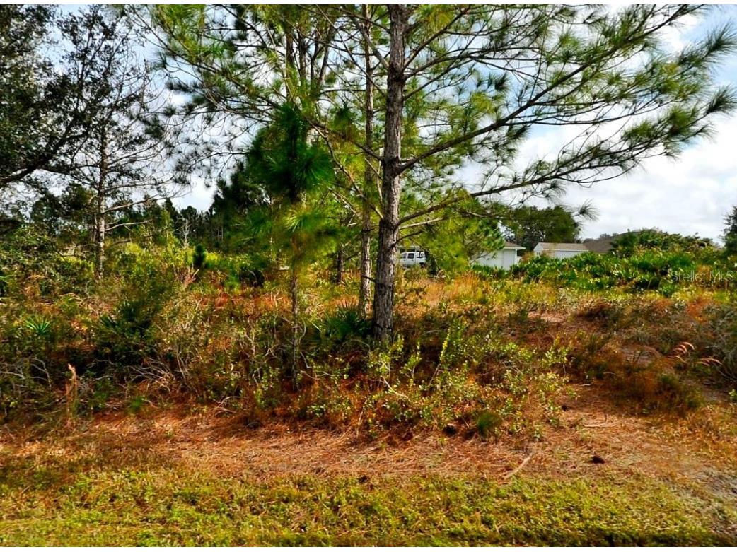 Cordova Terrace North Port FL 34291 C7504532 image3