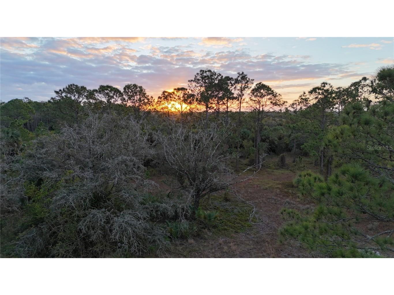 Corkscrew Road Immokalee FL 34142 OM690733 image1