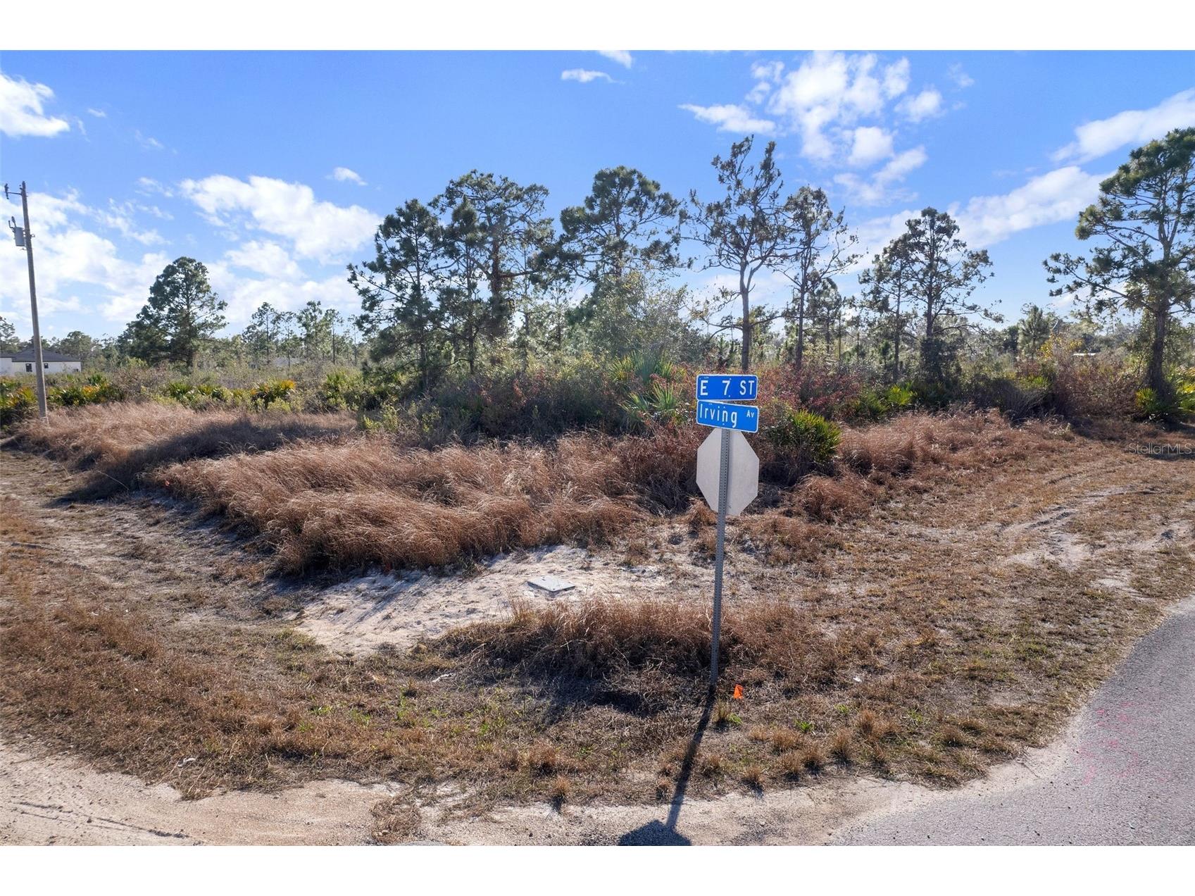 Corner Lot Lehigh Acres FL 33972 O6385262 image9